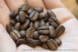파나마 게이샤 Panama Finca Lerida Geisha